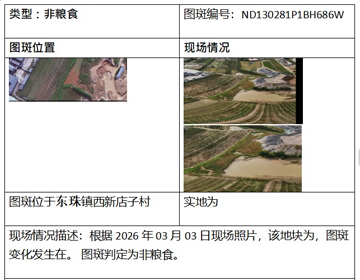 图斑核查报告导出
